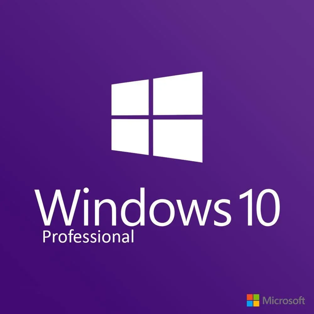 Windows 10 Professional Edition
